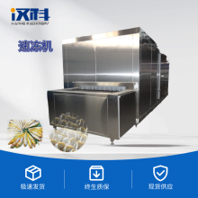 隧道式鎖鮮速凍機 海產品加工速凍設備 快速冷凍速凍機