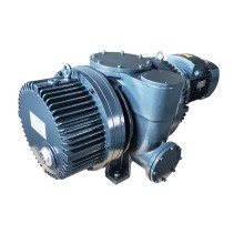 ZJP 300A羅茨真空泵：高效無油真空解決方案