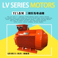 二級能耗YE4-200L-4-30KW異步電動機GB18613-2020節能馬達