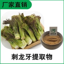 森冉生物 刺龍牙提取物 刺老芽提取物 比例提取原料粉