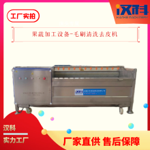 黃精去皮機 毛輥去皮設備 U型毛刷清洗機