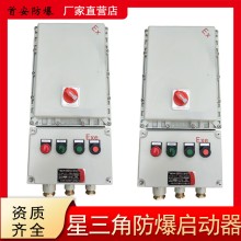 廠家定制防爆星三角啟動啟動器在工業(yè)
