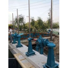 手電兩用螺桿啟閉機