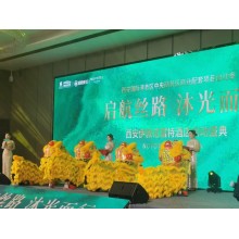 西安提供古箏獨奏  秦腔演出  茶藝師演出  開業鑼鼓  