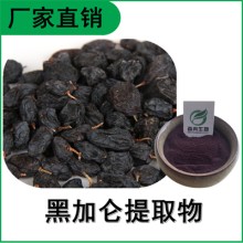 森冉生物 黑加侖提取物 黑加侖粉 比例提取原料粉