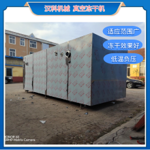 FD-50型凍干機 低溫冷凍干燥設備 中