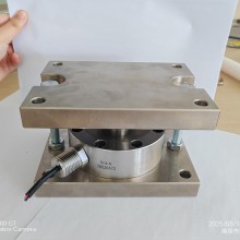 NTG系列防爆輪輻稱重模塊 防爆稱重模