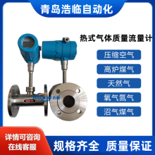 壓縮空氣氮氣熱式氣體質量流量計浩臨