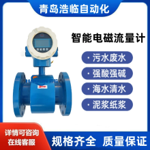 智能污水電磁流量計防腐液體流量計
