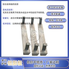 汕頭鋁合金犧牲陽(yáng)極生產(chǎn)廠家 碼頭鋼樁防腐鋁陽(yáng)極130kg
