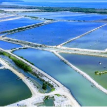 8米寬210米長厚度是1.0mm的hdpe土工膜出口印尼高位池