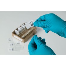 B-481 耐低溫聚酯標簽