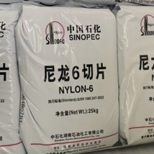 BL系列尼龍6切片