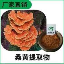 森冉生物 桑黃提取物 桑黃多糖 桑耳
