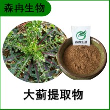 森冉生物 大薊提取物 大刺兒菜提取物