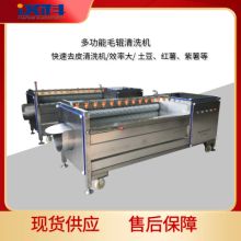桔梗去皮清洗機 毛輥清洗機 去皮清洗設備